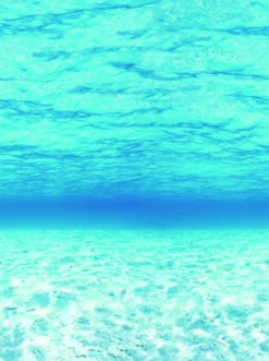 Fadeless Designs Paper Roll, Under The Sea, 48 Inches X 12 Feet