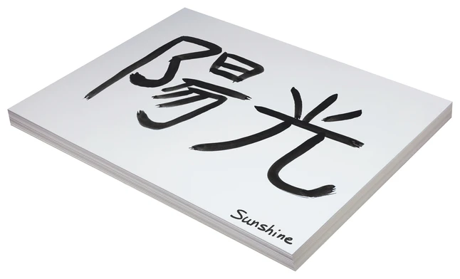 Pacon Heavyweight Tagboard, 18 X 24 Inches, 11 Pt, White, Pack Of 100 4 Pacon Heavyweight Tagboard, 18 X 24 Inches, 11 Pt, White, Pack Of 100 - Image 2