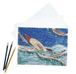 Pacon Drawing Paper, 12 X 18 Inches, 60 Lb, White, 500 Sheets