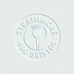 Strathmore 400 Series Plate Surface Bristol Sheet, 22 X 30 Inches, Pack Of 25