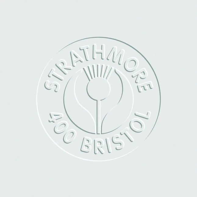 Strathmore 400 Series Plate Surface Bristol Sheet, 22 X 30 Inches, Pack Of 25 3 Strathmore 400 Series Plate Surface Bristol Sheet, 22 X 30 Inches, Pack Of 25