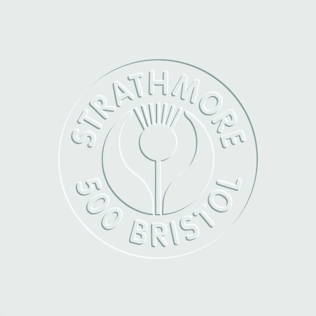 Strathmore 500 Series Plate Surface Bristol Sheet, 23 X 29 Inches, Pack Of 20 3 Strathmore 500 Series Plate Surface Bristol Sheet, 23 X 29 Inches, Pack Of 20