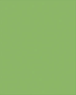 Pacon Plastic Poster Board, 22 X 28 Inches, Lime Green, Pack Of 25