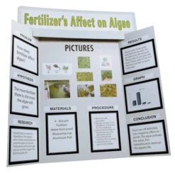 Pacon Presentation Board Project Kit With Project Papers