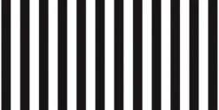 Fadeless Designs Paper Roll, Black Stripe, 48 Inches X 12 Feet