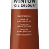 Winsor & Newton Winton Oil Color, 6.75 Ounce Tube, Burnt Sienna -Art Supplies 237870 ecommfullsize