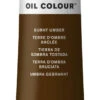 Winsor & Newton Winton Oil Color, 6.75 Ounce Tube, Burnt Umber -Art Supplies 237873 ecommfullsize