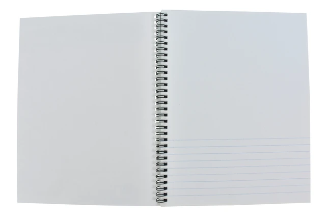 Sax Sketch 'N Write Spiral Binding Sketchbook, 20 Lbs, 8-1/2 X 11 Inches, 50 Sheets 7 Sax Sketch 'N Write Spiral Binding Sketchbook, 20 Lbs, 8-1/2 X 11 Inches, 50 Sheets - Image 5