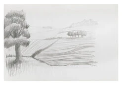 Ucreate Lightweight Sketch Pad, 12 X 18 Inches, White, 50 Sheets -Art Supplies 453701 D ecommfullsize